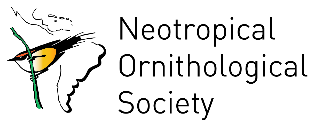 Ornitologia Neotropical